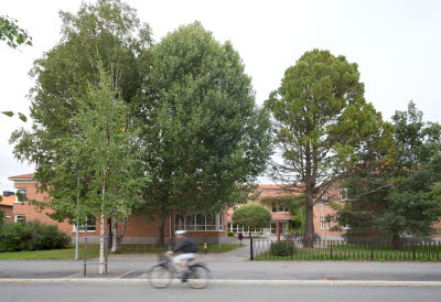 Umeå tingsrätt, Förvaltningsrätten i Umeå, Hyres och arrendenämnden i Umeå