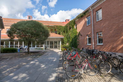 Umeå tingsrätt, Förvaltningsrätten i Umeå, Hyres och arrendenämnden i Umeå