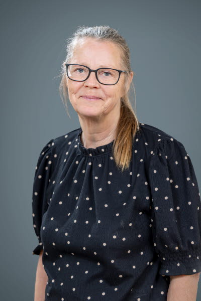 Kristina Ståhl, justiteråd, Högsta förvaltningsdomstolen